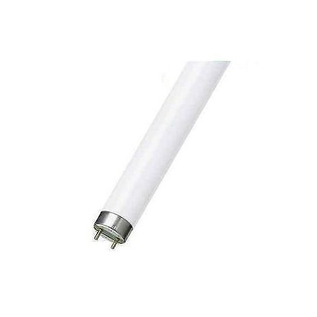 TUBO FLUORESCENTE LINEARE 36W/865 LUCE BIANCHISSIMA 6500K OSRAM L36865