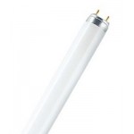 PHILIPS PHILIPS LAMPADINA TUBO NEON T8 58W 150CM LUCE NATURALE 5884NG