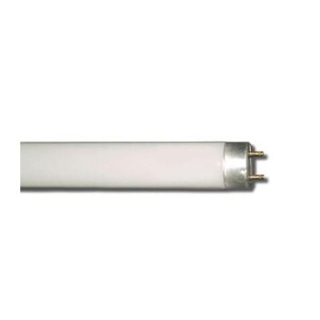 TUBO FLUORESCENTE T8 ECOLIGHT 18W 6500K LUCE FREDDA ATTACCO G13 NORDEX 61186