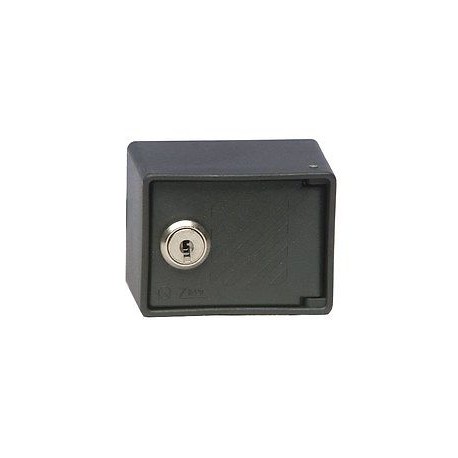 SELETTORE SERRANDA PARETE CON CHIUSINO ESTERNO IP40 + 2 CHIAVI CODIF. ZIPPO 2063