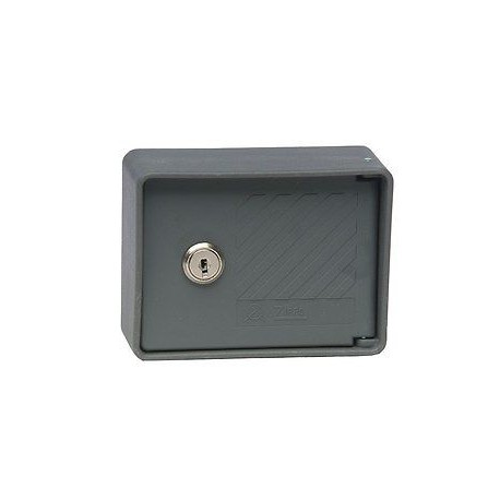 SELETTORE SERRANDA PARETE CON CHIUSINO ESTERNO IP40 + 2 CHIAVI CODIF. ZIPPO 2055