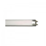 TUBO FLUORESCENTE T8 TRI-STAR 15W 6500K LUCE FREDDA ATTACC G13 REER 5455304