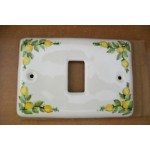 PLACCA CERAMICA VERA 1 POSTO PER BTICINO MAGIC C/LIMONI 2008LIMONI