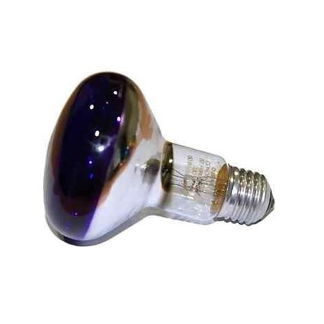 LAMPADA AD INCANDESCENZA CON RIFLETTORE VIOLA OSRAM CONC R80 VIOLA 60W R8060V