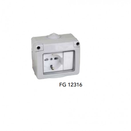 CONTENITORE STAGNO IP55 DA PARETE 3P CON PRESA SCHUKO E INTERRUTTORE  FG12316 - LADOGANA GROUP SRL