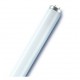 TUBO FLUORESCENTE T12 20W G13 LUCE ROSSA ROSSO 60 CM D. 38MM LEUCI LCL20R