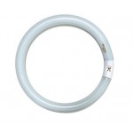 TUBO FLUORESCENTE CIRCOLARE 22W T9 G10Q LUCE BLU RICAMBIO ZANZARIERA TECZ22