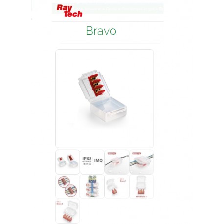 GIUNTO ELETTRICO IP68 GEL 53 x 49 x 22mm CON MORSETTIERA 3P RAYTECH BRAVO 3-6